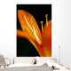 Extreme Close-up Orange Day Wall Decal