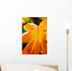 Extreme Close-up Bright Orange Wall Decal