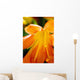 Extreme Close-up Bright Orange Wall Decal