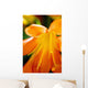 Extreme Close-up Bright Orange Wall Decal