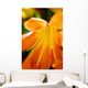 Extreme Close-up Bright Orange Wall Decal