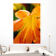 Extreme Close-up Bright Orange Wall Decal