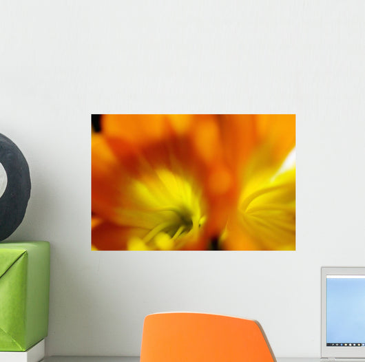 Extreme Close-up Two Orange Wall Decal