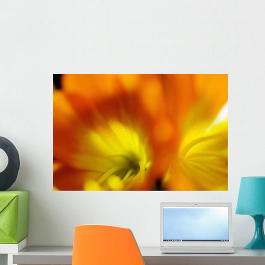 Extreme Close-up Two Orange Wall Decal