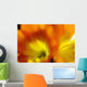 Extreme Close-up Two Orange Wall Decal
