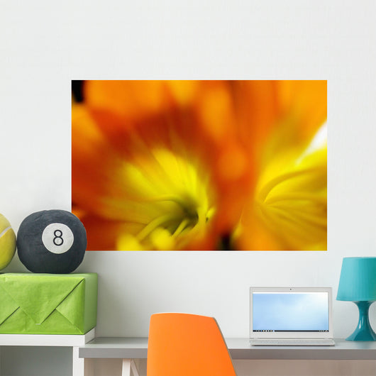 Extreme Close-up Two Orange Wall Decal