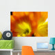 Extreme Close-up Two Orange Wall Decal