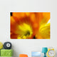 Extreme Close-up Two Orange Wall Decal