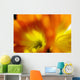 Extreme Close-up Two Orange Wall Decal
