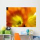 Extreme Close-up Two Orange Wall Decal