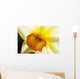 White Daffodil Selective Focus Wall Decal