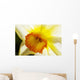 White Daffodil Selective Focus Wall Decal