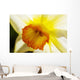 White Daffodil Selective Focus Wall Decal
