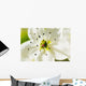 White Crocus Blossom Selective Wall Decal