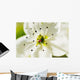 White Crocus Blossom Selective Wall Decal