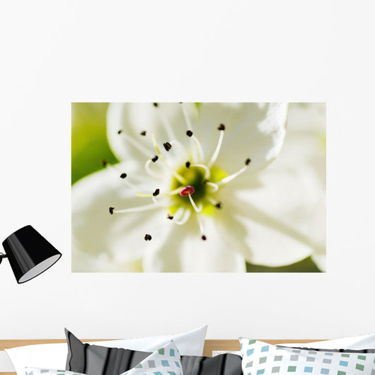 White Crocus Blossom Selective Wall Decal