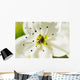 White Crocus Blossom Selective Wall Decal