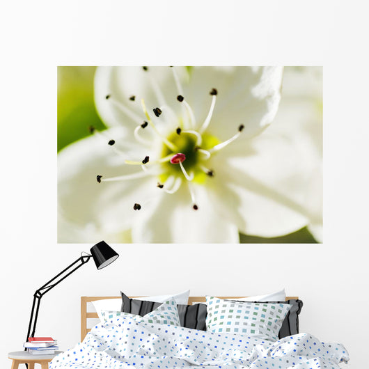 White Crocus Blossom Selective Wall Decal