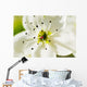 White Crocus Blossom Selective Wall Decal