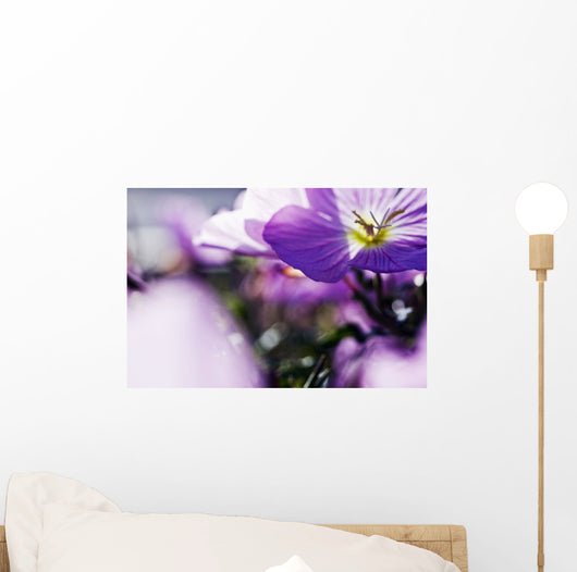 Hardy Geranium Mayflower Close-up Wall Decal