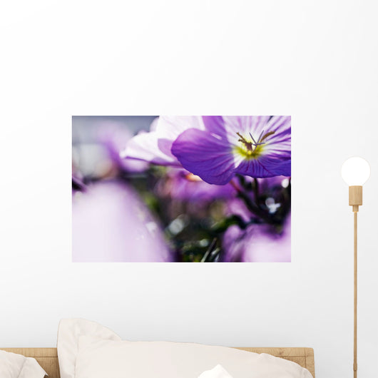 Hardy Geranium Mayflower Close-up Wall Decal