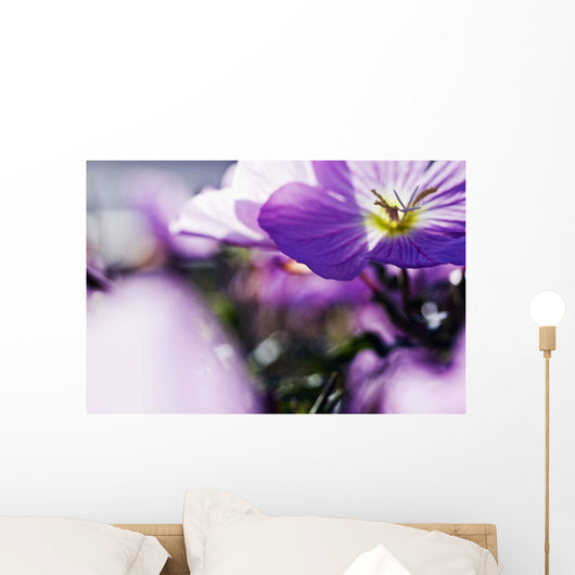 Hardy Geranium Mayflower Close-up Wall Decal