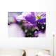 Hardy Geranium Mayflower Close-up Wall Decal