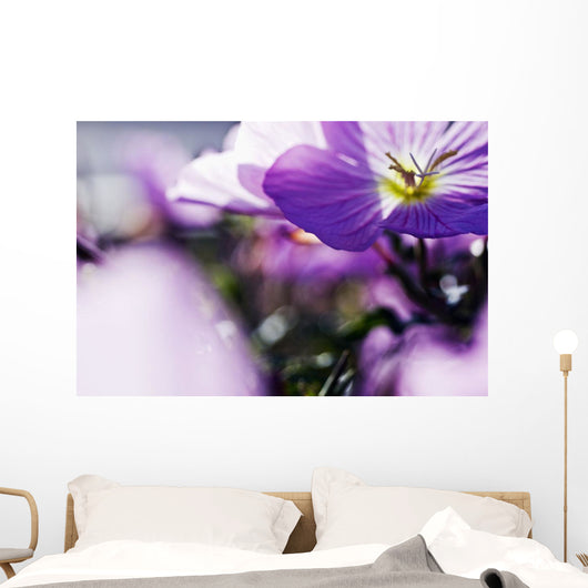 Hardy Geranium Mayflower Close-up Wall Decal