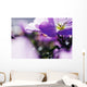 Hardy Geranium Mayflower Close-up Wall Decal