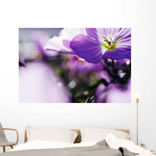Hardy Geranium Mayflower Close-up Wall Decal
