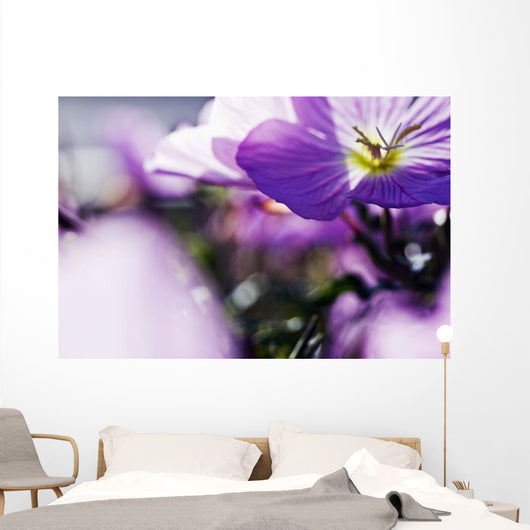 Hardy Geranium Mayflower Close-up Wall Decal