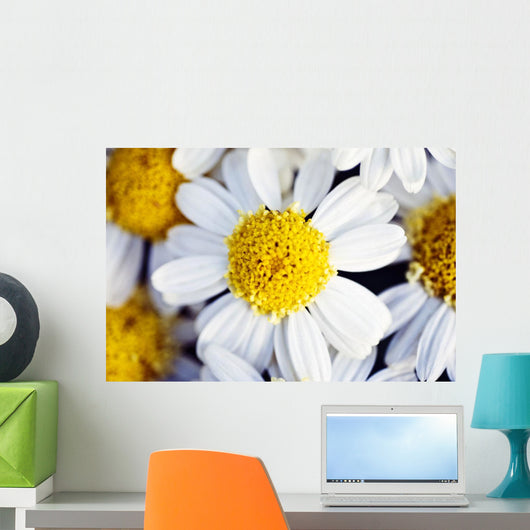 Summer Daisy Wall Decal