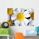 Summer Daisy Wall Decal