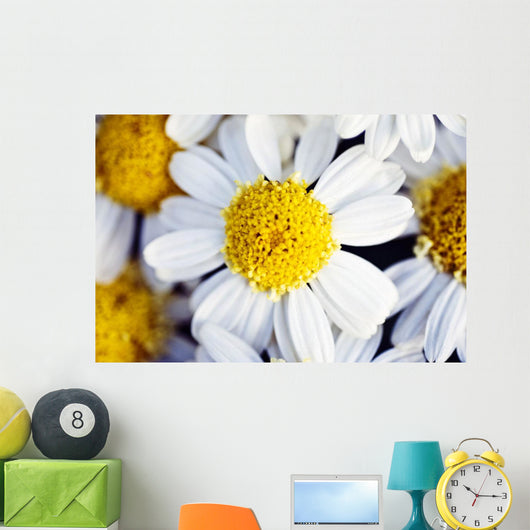 Summer Daisy Wall Decal