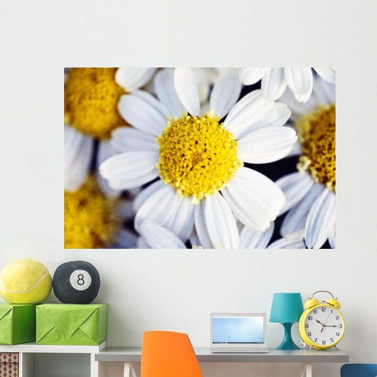 Summer Daisy Wall Decal