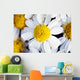 Summer Daisy Wall Decal