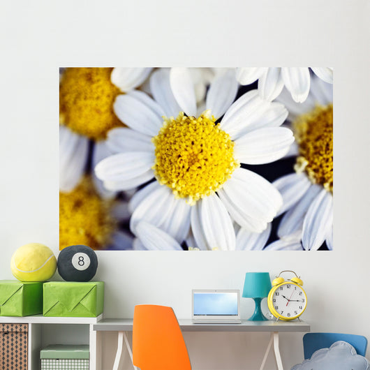 Summer Daisy Wall Decal