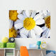 Summer Daisy Wall Decal
