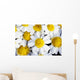 Summer Daisies Wall Decal