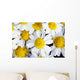 Summer Daisies Wall Decal
