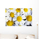 Summer Daisies Wall Decal