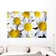 Summer Daisies Wall Decal