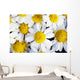 Summer Daisies Wall Decal