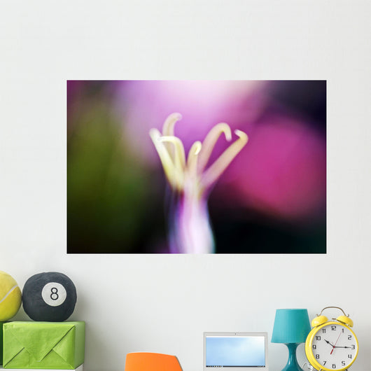 Nigella Miss Jekyll Alba Wall Decal