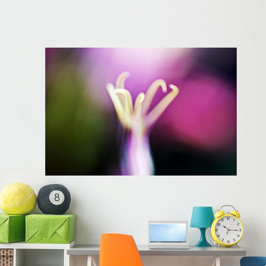 Nigella Miss Jekyll Alba Wall Decal