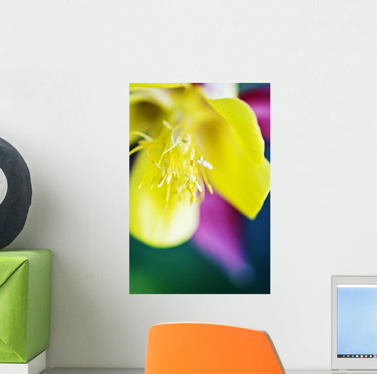 Columbine Macro Close-up Blossom Wall Decal