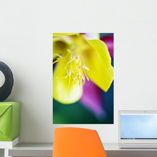 Columbine Macro Close-up Blossom Wall Decal