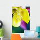 Columbine Macro Close-up Blossom Wall Decal