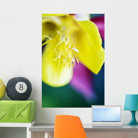 Columbine Macro Close-up Blossom Wall Decal
