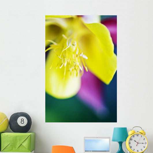 Columbine Macro Close-up Blossom Wall Decal